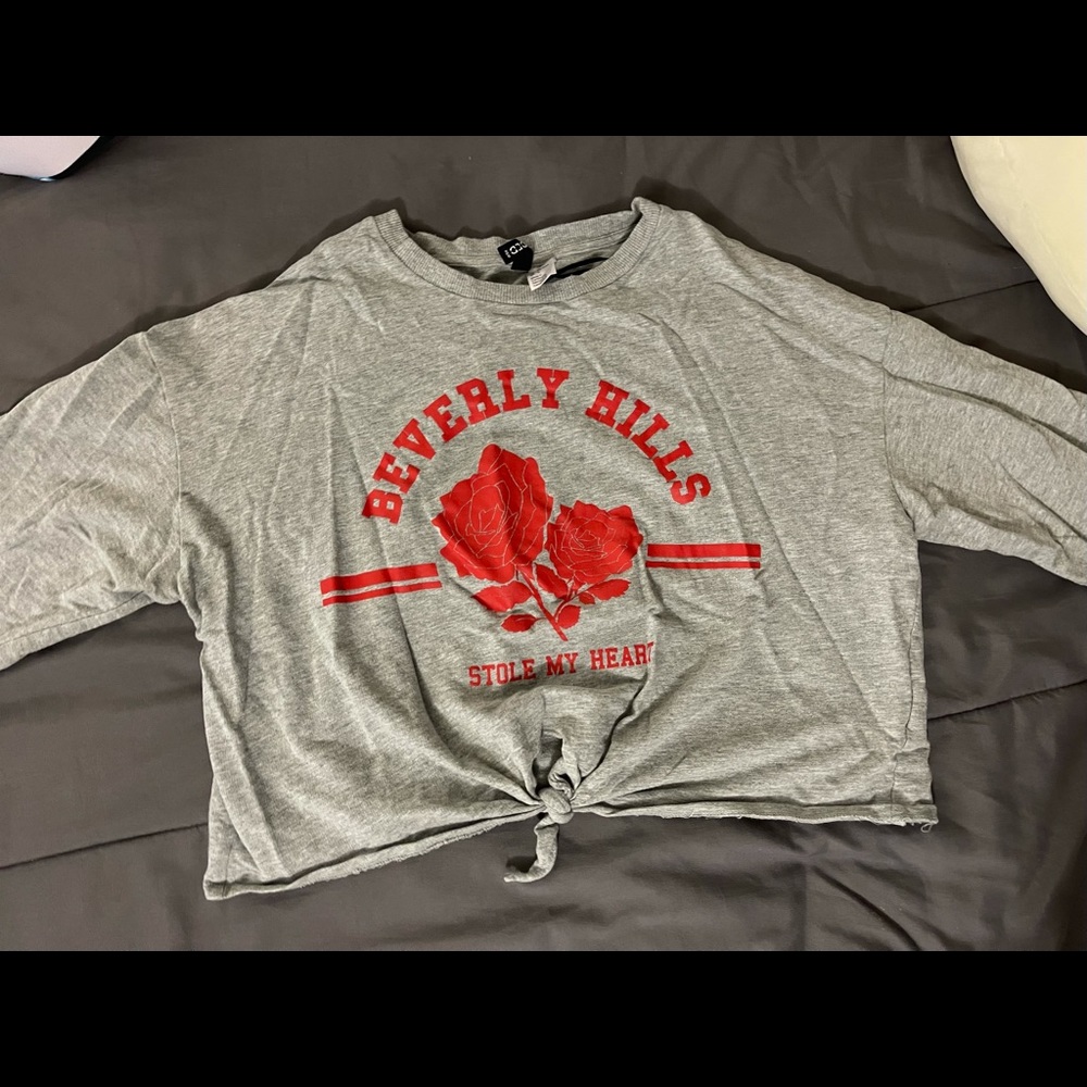 Long sleeved crop top